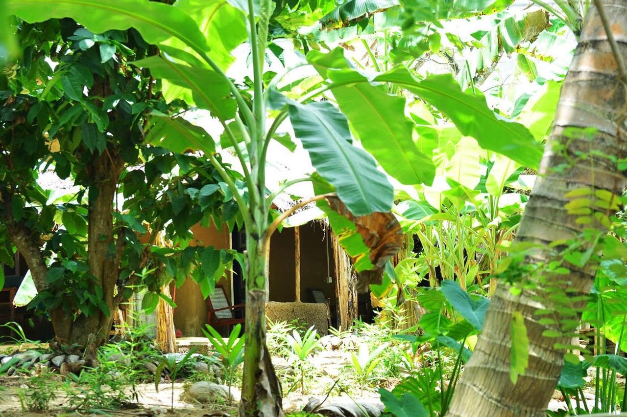 Green Leaves Garden - Pinnawala Exterior foto